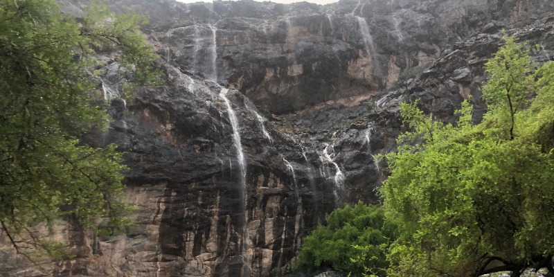 Tanuf