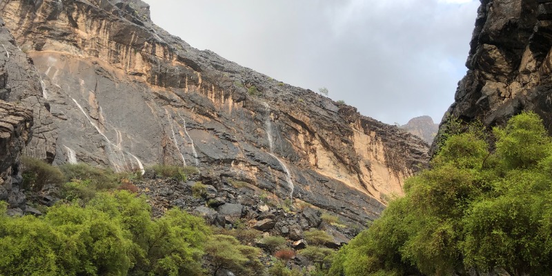 Tanuf