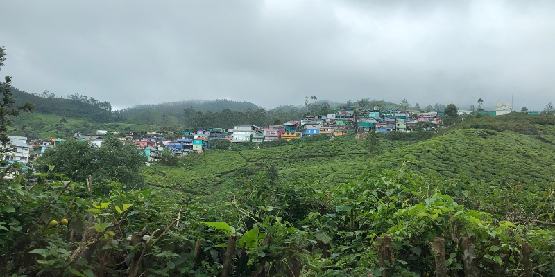 Munnar Tea Garden view