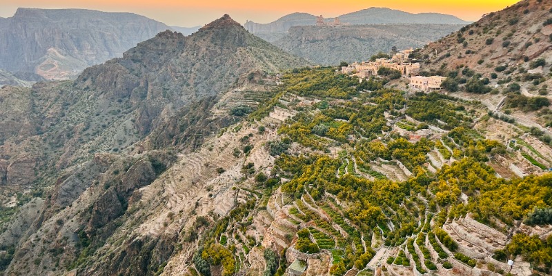 Jebel Akhtar Saiq Plateau