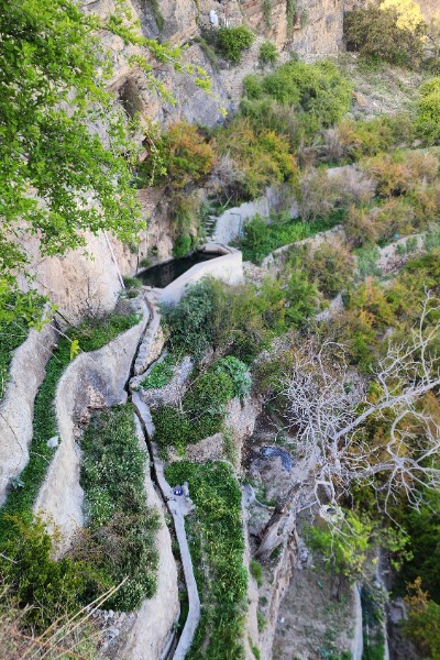 Terrace farm in Jebel Akhdar